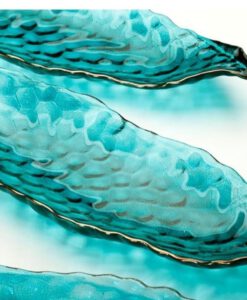 קערת עלה טורקיז עם פס זהב